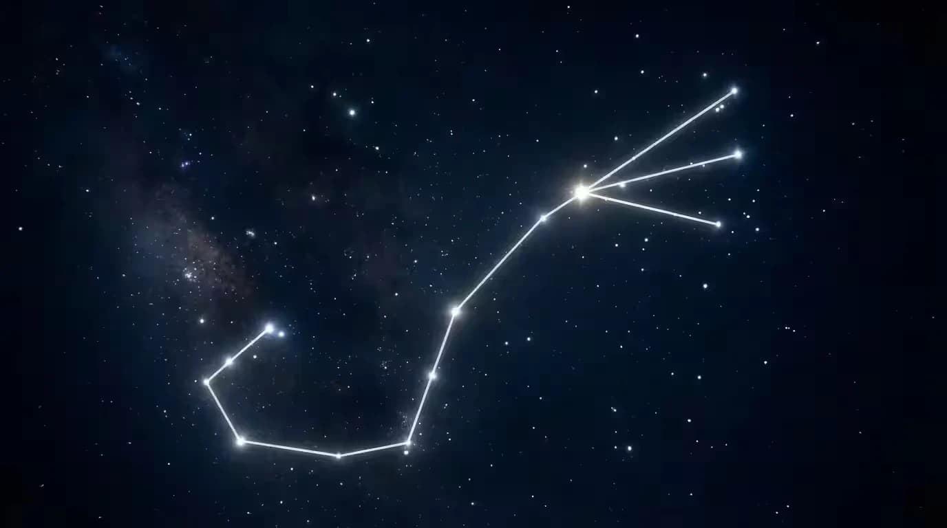 Visualización del grafo del historial y la trazabilidad digital de un activo