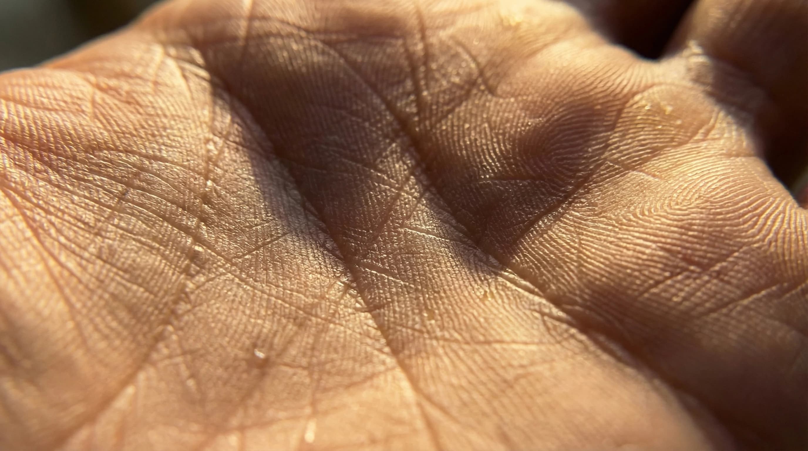 Trabajo creativo que evoluciona de forma natural a través de la intención y la iteración